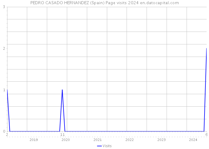 PEDRO CASADO HERNANDEZ (Spain) Page visits 2024 