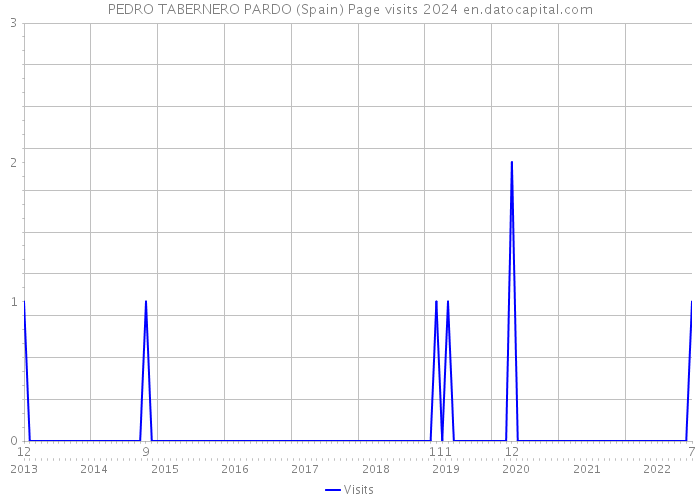 PEDRO TABERNERO PARDO (Spain) Page visits 2024 