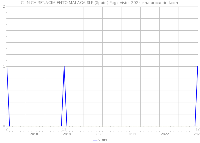 CLINICA RENACIMIENTO MALAGA SLP (Spain) Page visits 2024 
