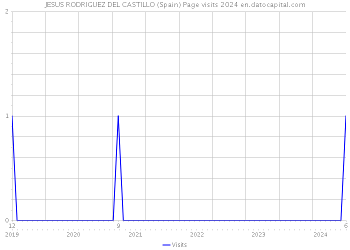 JESUS RODRIGUEZ DEL CASTILLO (Spain) Page visits 2024 