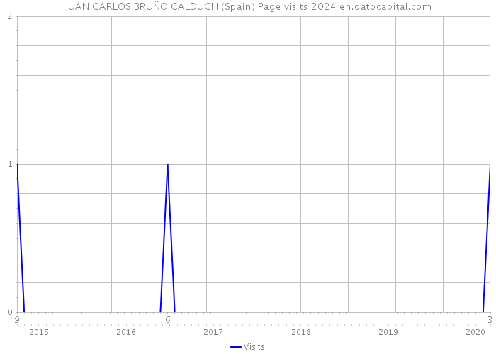 JUAN CARLOS BRUÑO CALDUCH (Spain) Page visits 2024 