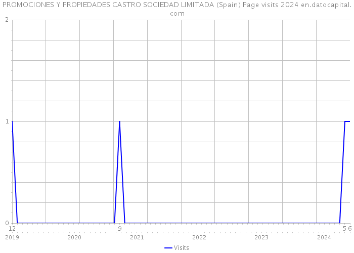 PROMOCIONES Y PROPIEDADES CASTRO SOCIEDAD LIMITADA (Spain) Page visits 2024 