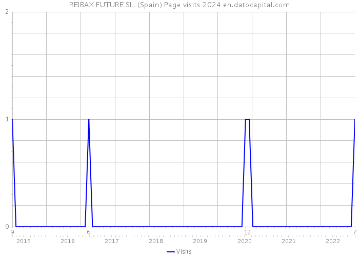 REIBAX FUTURE SL. (Spain) Page visits 2024 