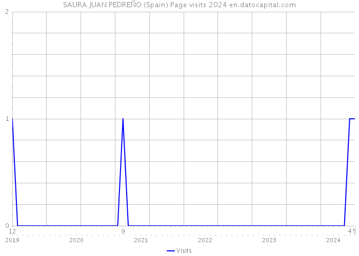 SAURA JUAN PEDREÑO (Spain) Page visits 2024 