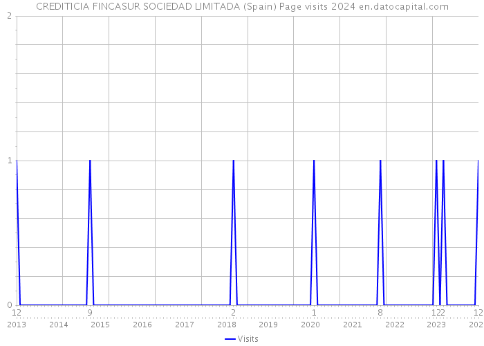 CREDITICIA FINCASUR SOCIEDAD LIMITADA (Spain) Page visits 2024 