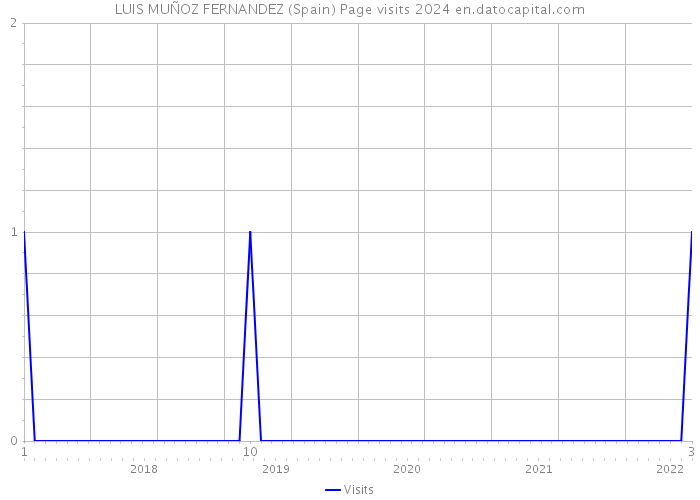LUIS MUÑOZ FERNANDEZ (Spain) Page visits 2024 