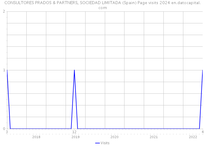 CONSULTORES PRADOS & PARTNERS, SOCIEDAD LIMITADA (Spain) Page visits 2024 