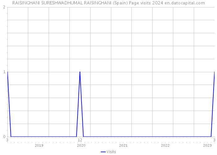 RAISINGHANI SURESHWADHUMAL RAISINGHANI (Spain) Page visits 2024 