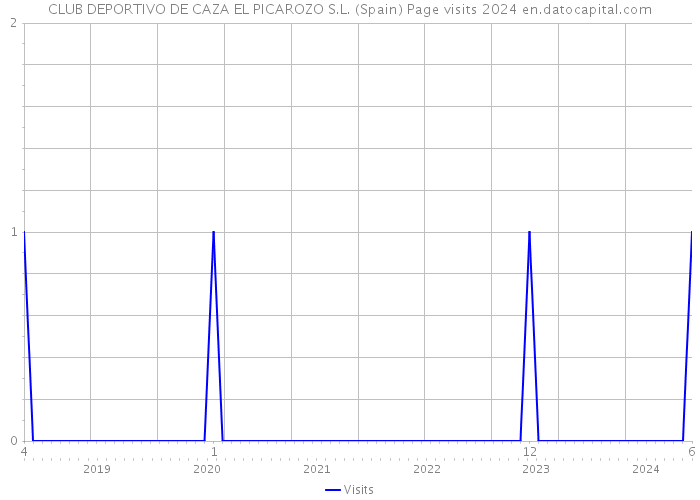 CLUB DEPORTIVO DE CAZA EL PICAROZO S.L. (Spain) Page visits 2024 