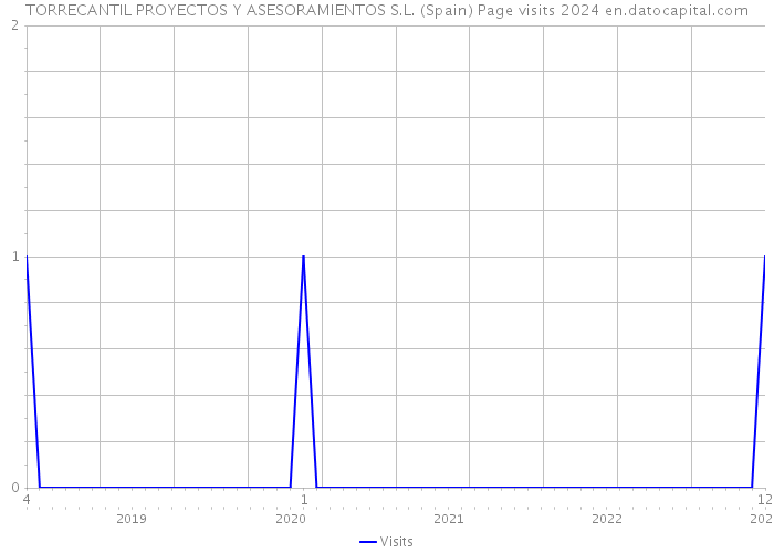 TORRECANTIL PROYECTOS Y ASESORAMIENTOS S.L. (Spain) Page visits 2024 