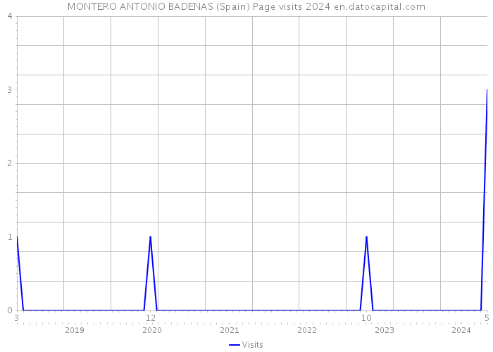 MONTERO ANTONIO BADENAS (Spain) Page visits 2024 