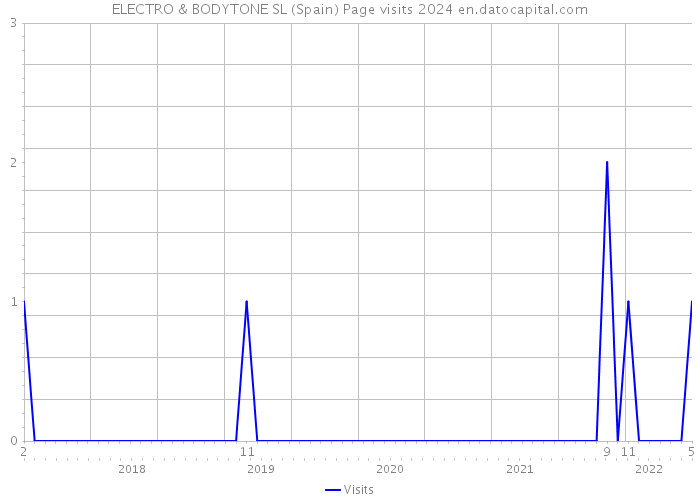 ELECTRO & BODYTONE SL (Spain) Page visits 2024 