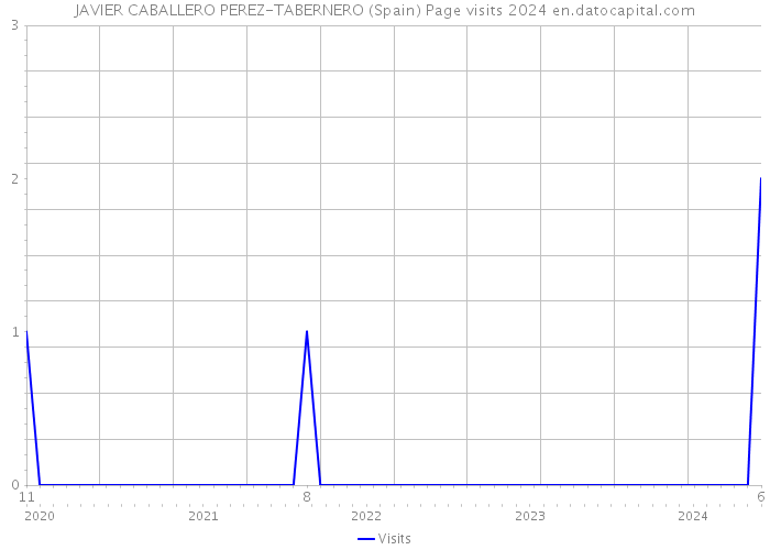 JAVIER CABALLERO PEREZ-TABERNERO (Spain) Page visits 2024 