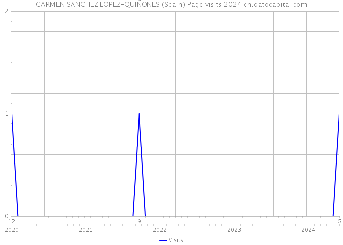 CARMEN SANCHEZ LOPEZ-QUIÑONES (Spain) Page visits 2024 