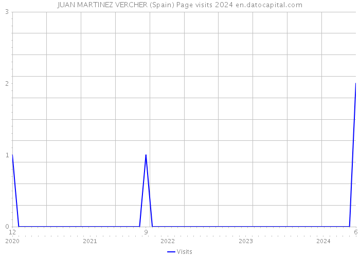 JUAN MARTINEZ VERCHER (Spain) Page visits 2024 