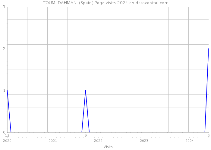 TOUMI DAHMANI (Spain) Page visits 2024 