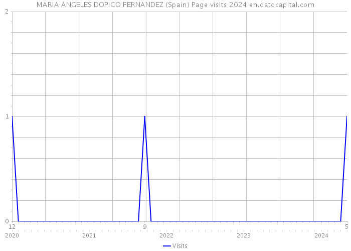 MARIA ANGELES DOPICO FERNANDEZ (Spain) Page visits 2024 