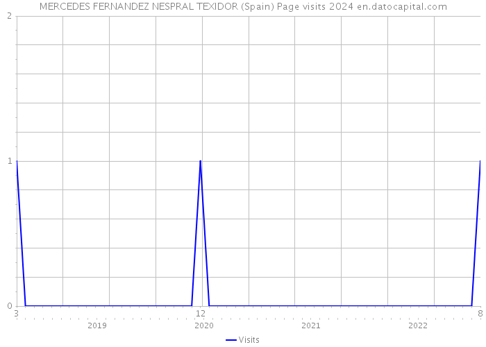 MERCEDES FERNANDEZ NESPRAL TEXIDOR (Spain) Page visits 2024 