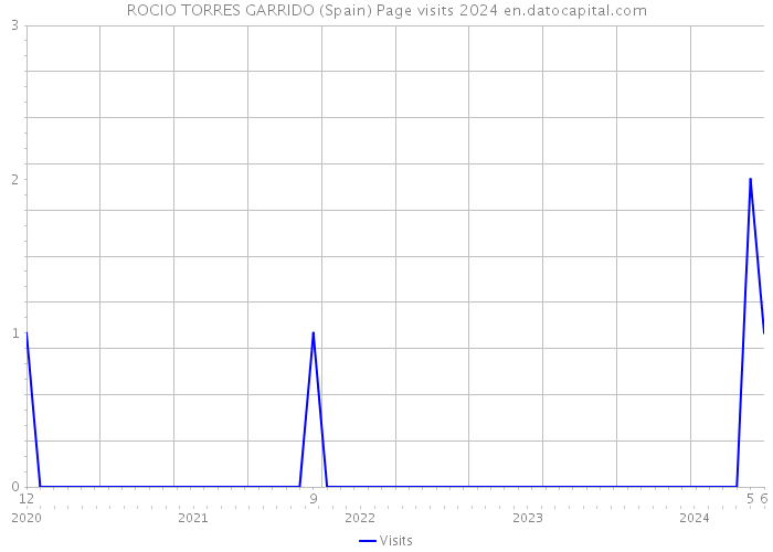 ROCIO TORRES GARRIDO (Spain) Page visits 2024 
