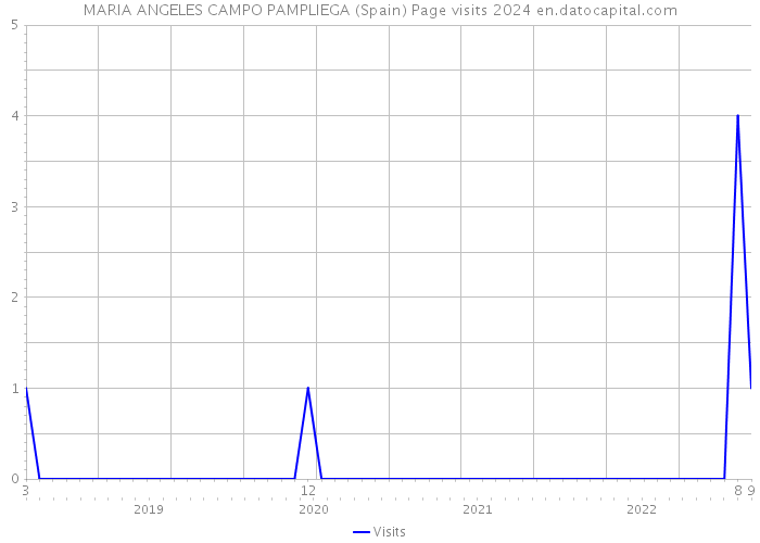 MARIA ANGELES CAMPO PAMPLIEGA (Spain) Page visits 2024 