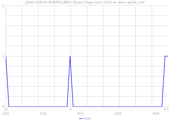JUAN GARCIA BORREGUERO (Spain) Page visits 2024 