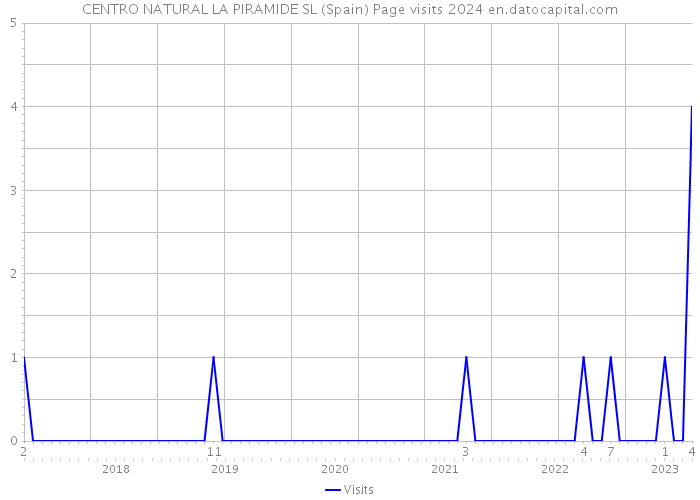 CENTRO NATURAL LA PIRAMIDE SL (Spain) Page visits 2024 