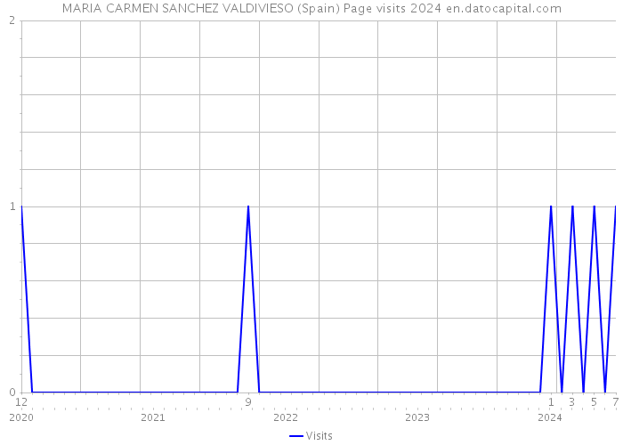 MARIA CARMEN SANCHEZ VALDIVIESO (Spain) Page visits 2024 