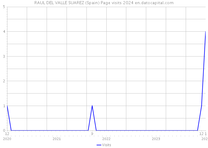 RAUL DEL VALLE SUAREZ (Spain) Page visits 2024 
