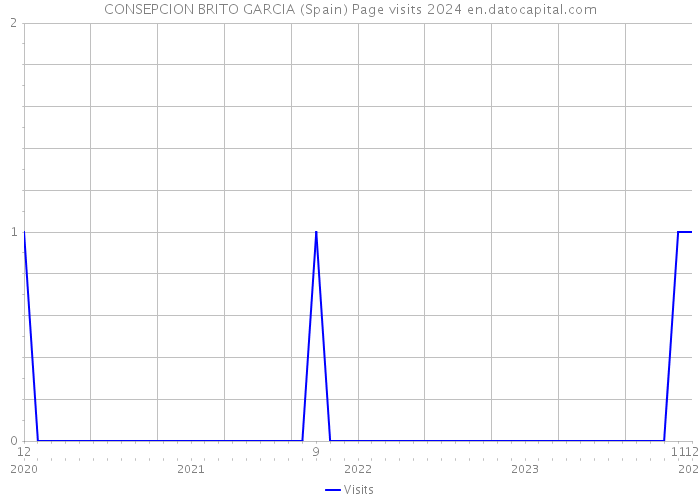 CONSEPCION BRITO GARCIA (Spain) Page visits 2024 
