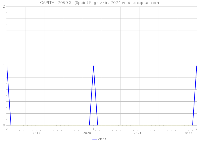 CAPITAL 2050 SL (Spain) Page visits 2024 