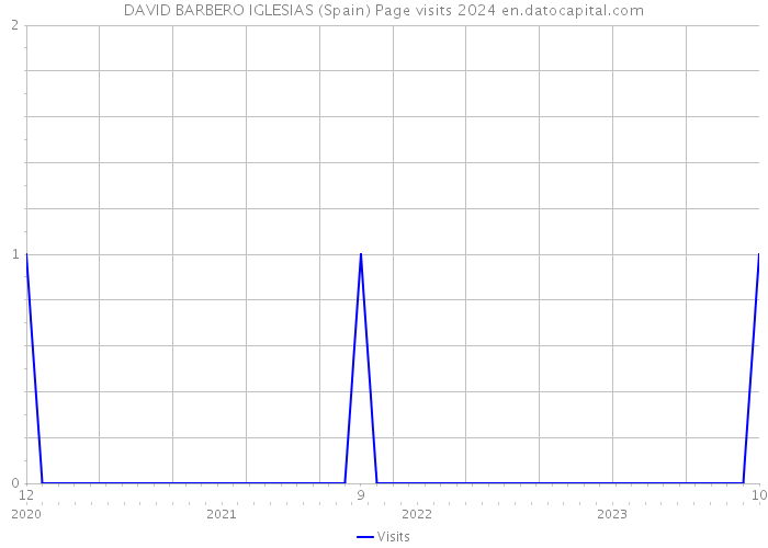 DAVID BARBERO IGLESIAS (Spain) Page visits 2024 