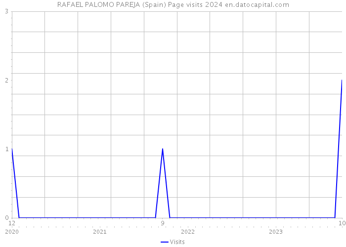 RAFAEL PALOMO PAREJA (Spain) Page visits 2024 