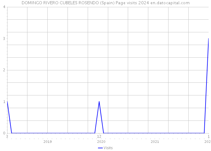 DOMINGO RIVERO CUBELES ROSENDO (Spain) Page visits 2024 