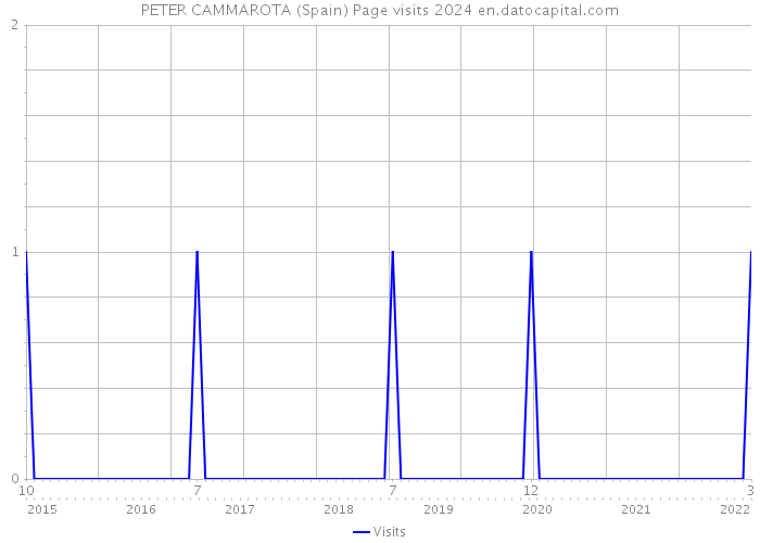 PETER CAMMAROTA (Spain) Page visits 2024 