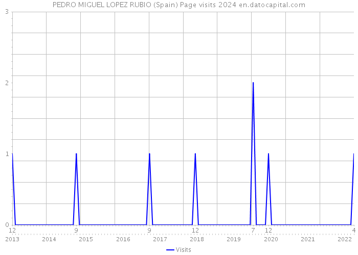 PEDRO MIGUEL LOPEZ RUBIO (Spain) Page visits 2024 