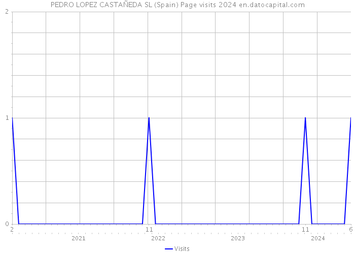 PEDRO LOPEZ CASTAÑEDA SL (Spain) Page visits 2024 