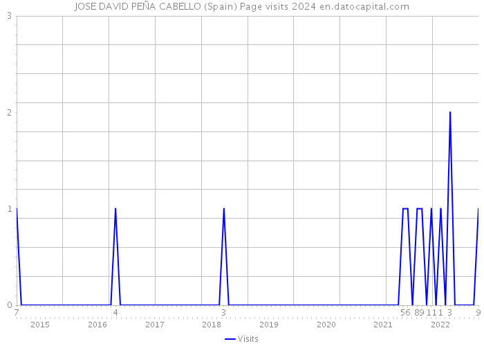 JOSE DAVID PEÑA CABELLO (Spain) Page visits 2024 