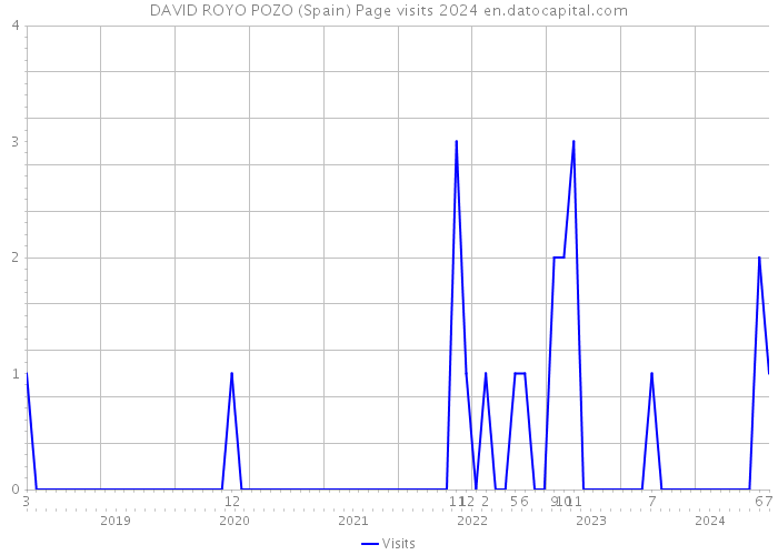 DAVID ROYO POZO (Spain) Page visits 2024 