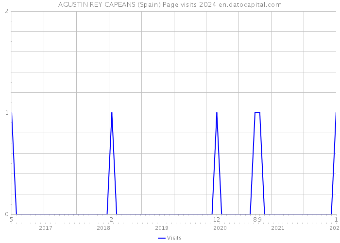 AGUSTIN REY CAPEANS (Spain) Page visits 2024 