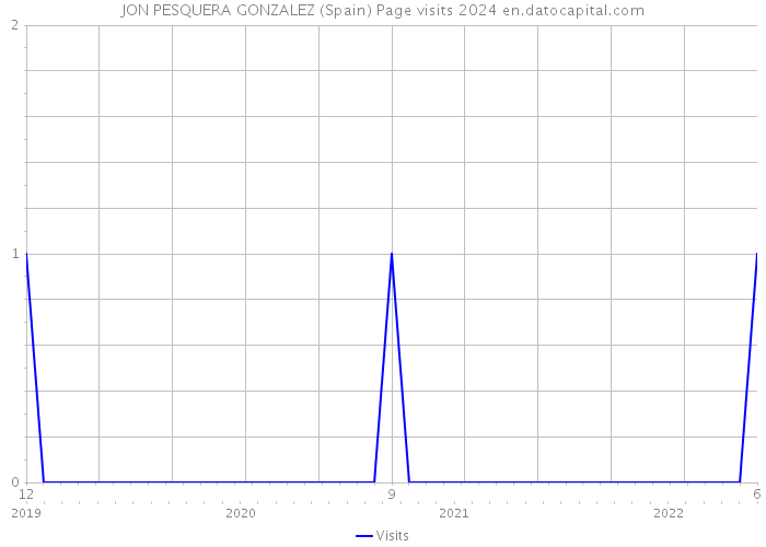 JON PESQUERA GONZALEZ (Spain) Page visits 2024 