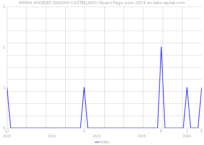MARIA ANGELES SANCHO CASTELLANO (Spain) Page visits 2024 