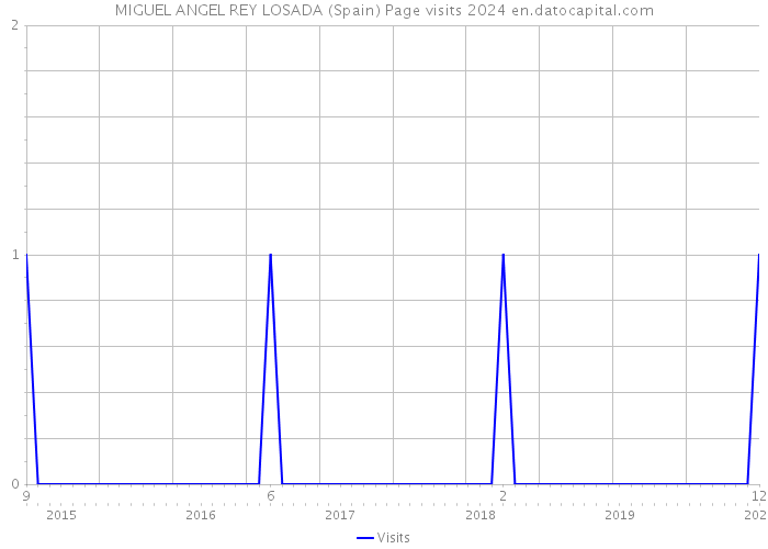 MIGUEL ANGEL REY LOSADA (Spain) Page visits 2024 