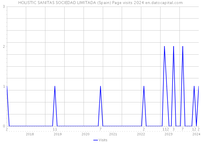HOLISTIC SANITAS SOCIEDAD LIMITADA (Spain) Page visits 2024 