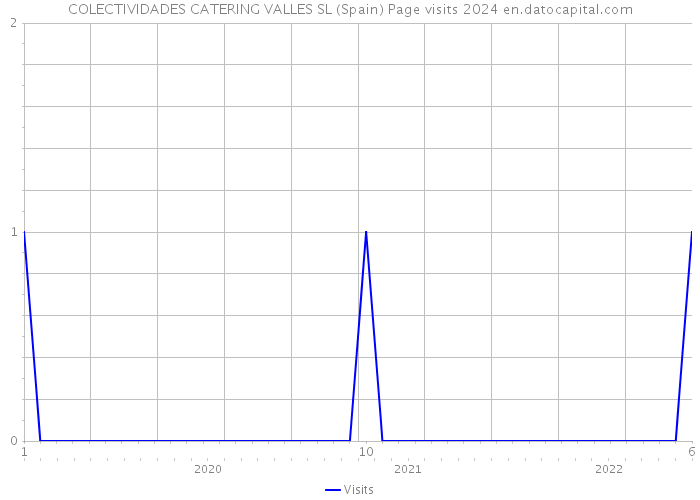 COLECTIVIDADES CATERING VALLES SL (Spain) Page visits 2024 