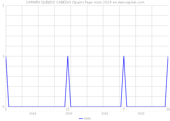 CARMEN QUEJIDO CABEZAS (Spain) Page visits 2024 