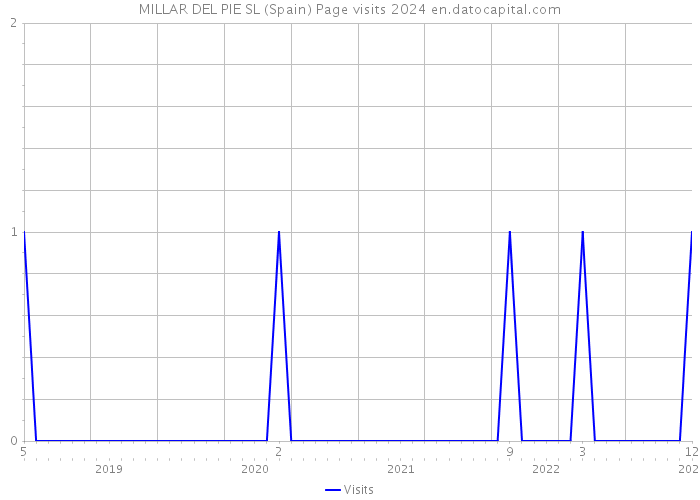 MILLAR DEL PIE SL (Spain) Page visits 2024 