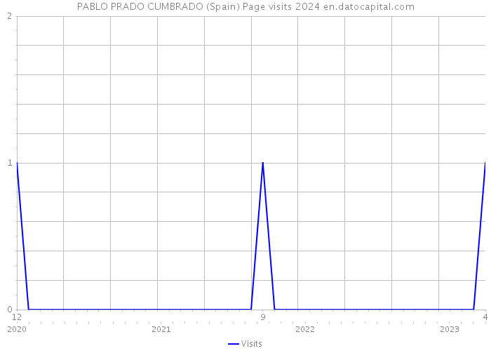 PABLO PRADO CUMBRADO (Spain) Page visits 2024 