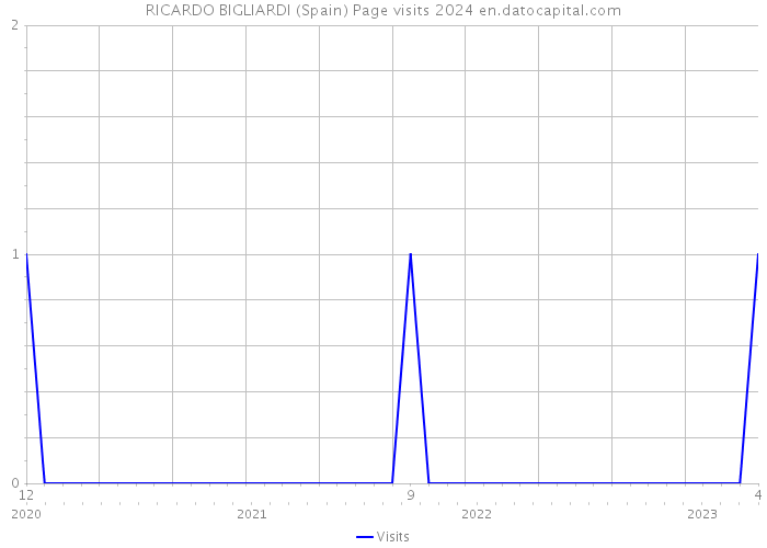 RICARDO BIGLIARDI (Spain) Page visits 2024 