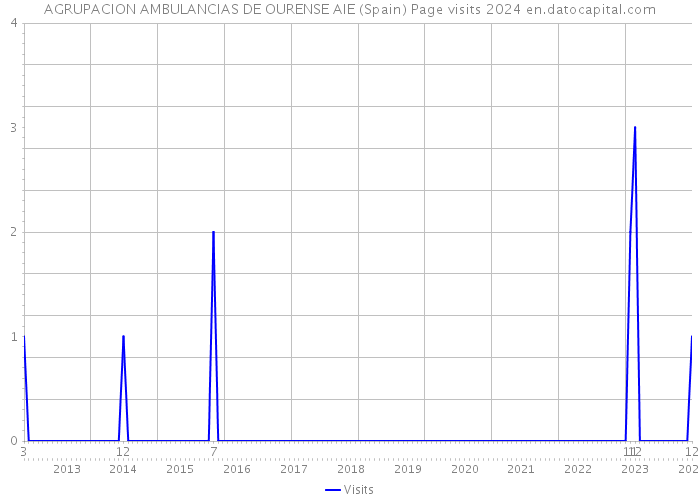 AGRUPACION AMBULANCIAS DE OURENSE AIE (Spain) Page visits 2024 