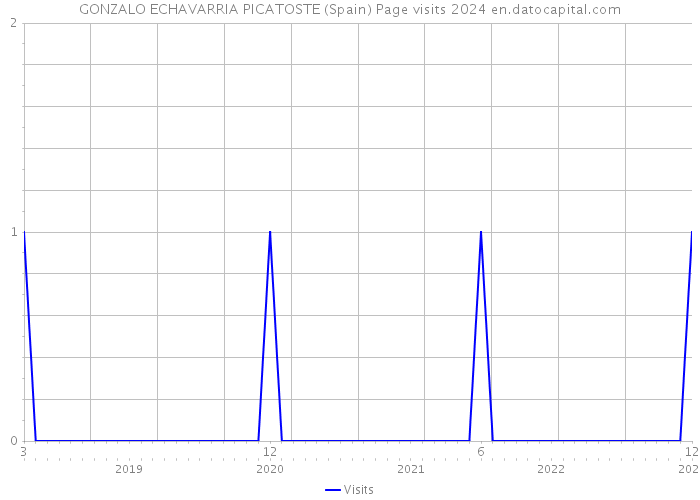GONZALO ECHAVARRIA PICATOSTE (Spain) Page visits 2024 